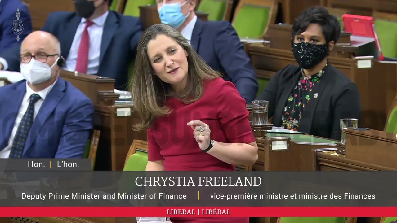 Freeland Is Dead Inside