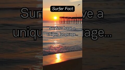 Surfer Fact