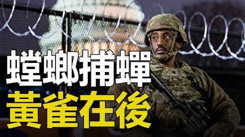 🔥🔥螳螂捕蟬 黃雀在後❗蓬佩奧新動作是暗號？伊万卡發推了：等著瞧，不會等太久...