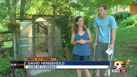 Florence family fighting to keep pet chickens