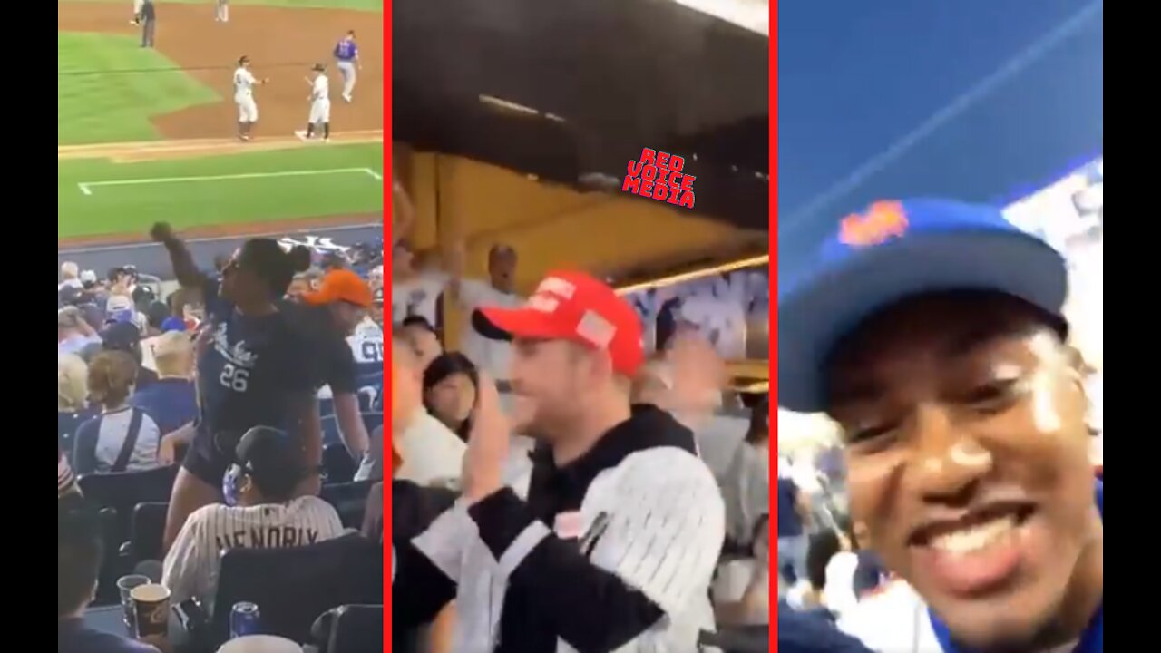 Anti Trump Thieves Try To Steal MAGA Hat At Yankees Game Then This Happens...