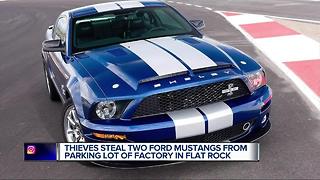 Thieves steal two Ford Mustangs from parking lot of factory in Flat Rock