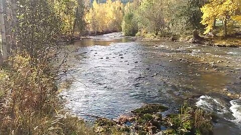 Serenity by the creek in a crazy world, British Columbia