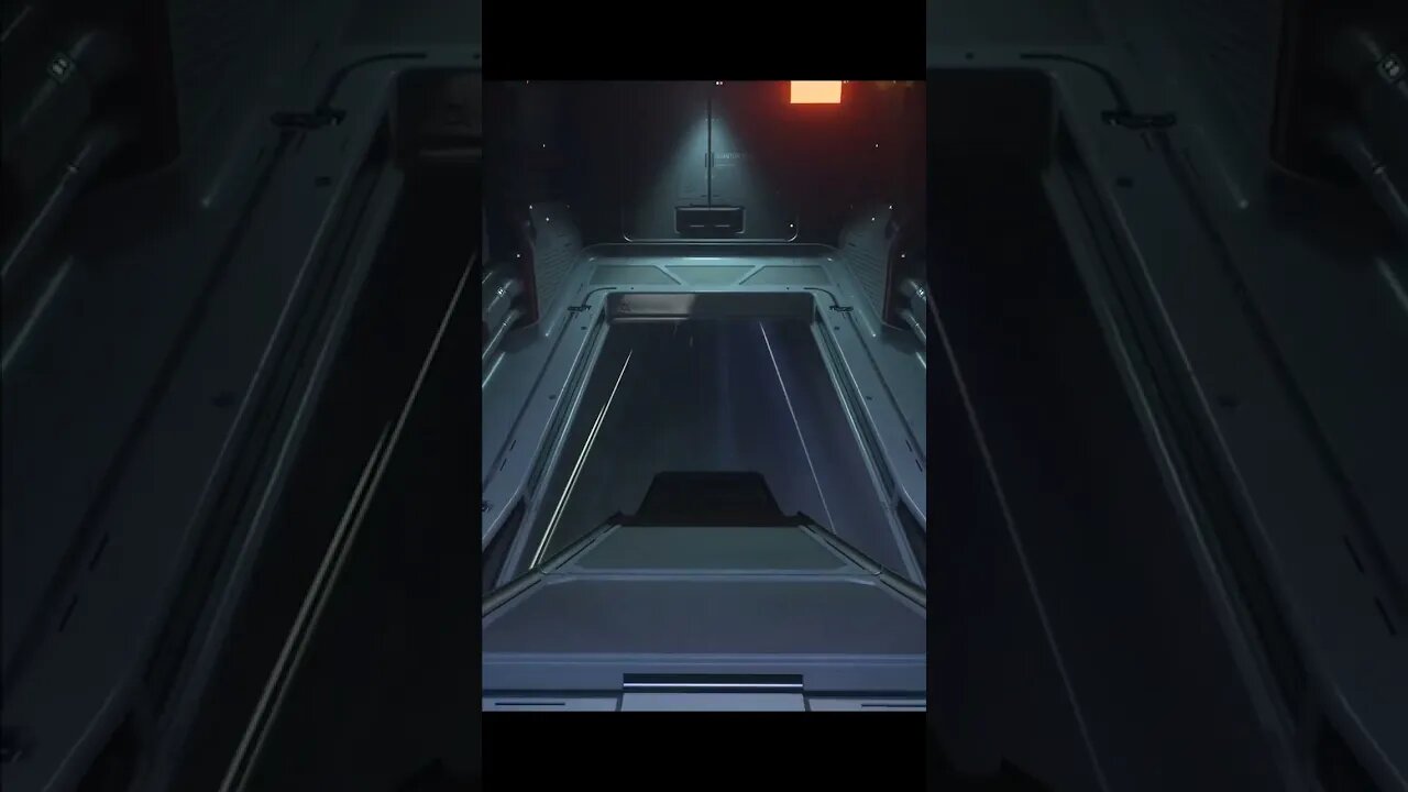 Star Citizen "Im tired of worrying about losing this thing so..."