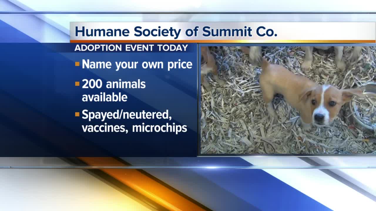 Humane Society of Summit County hosting adoption event