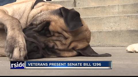 Local veteran wants service dog welcome in Idaho