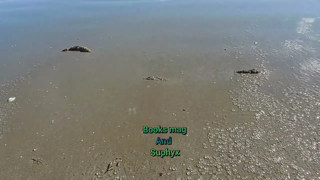 #asmr Walk on the beach