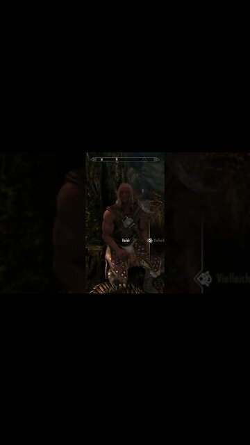 valdr ist weglaufen #skyrim #theelderscrollsv #valdr