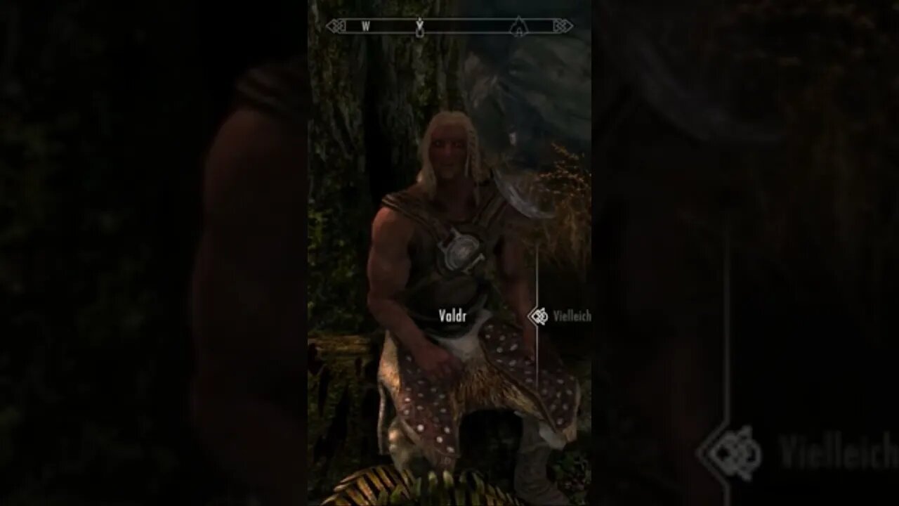valdr ist weglaufen #skyrim #theelderscrollsv #valdr