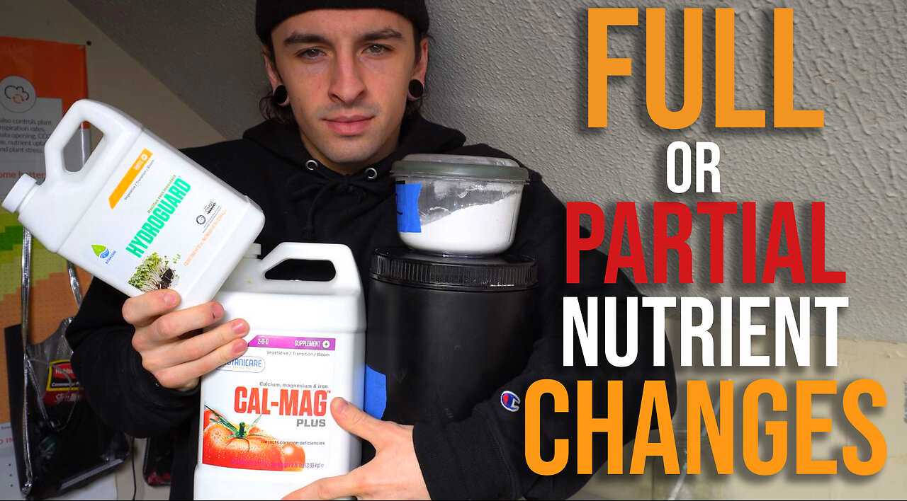 Easy Way to Save Nutrients in RDWC - Current Culture Recommendations
