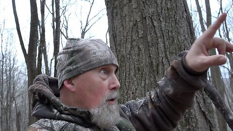 A Hunting Setup For Harvesting Mountain Turkeys!