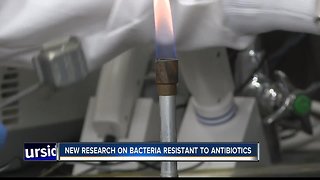 New research tracks how bacteria communicate, share DNA to resist antibiotics