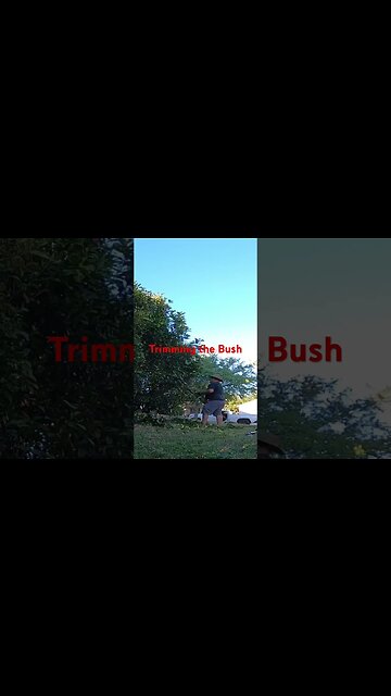 #viral #shortvideo #shorts #diy #grassmowing #gardenequipment #lawn #lawncare #grass #gardeningtools