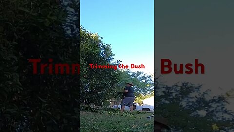 #viral #shortvideo #shorts #diy #grassmowing #gardenequipment #lawn #lawncare #grass #gardeningtools