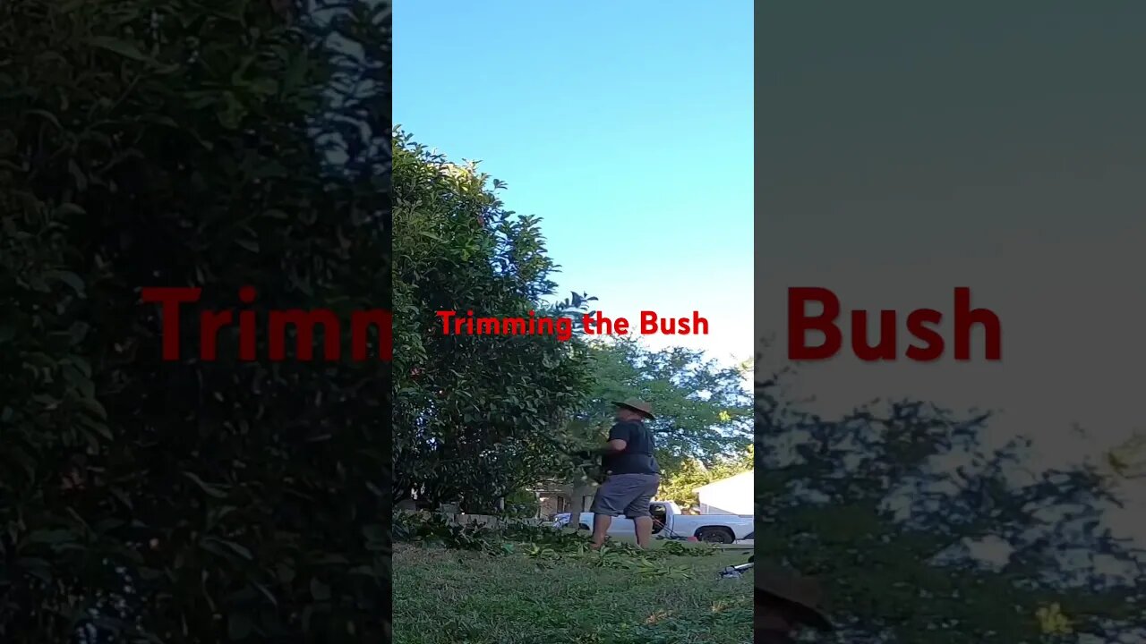 #viral #shortvideo #shorts #diy #grassmowing #gardenequipment #lawn #lawncare #grass #gardeningtools