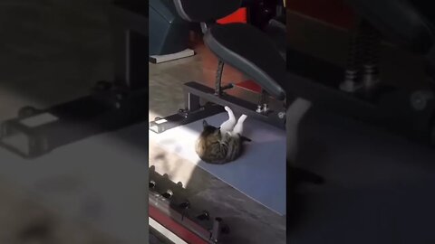 Time to get in shape