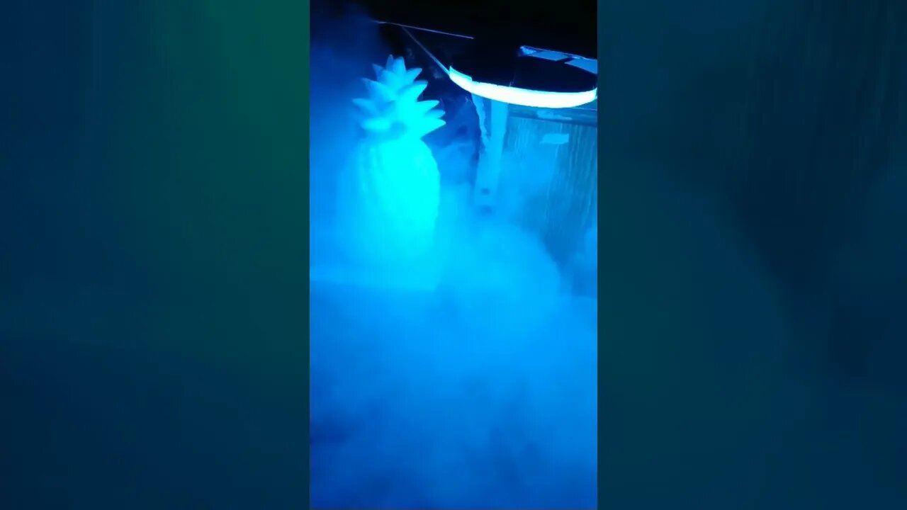 #smoke #blue #pineapple #slomo