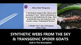 SYNTHETIC WEBS FROM THE SKY & TRANSGENIC SPIDER GOATS