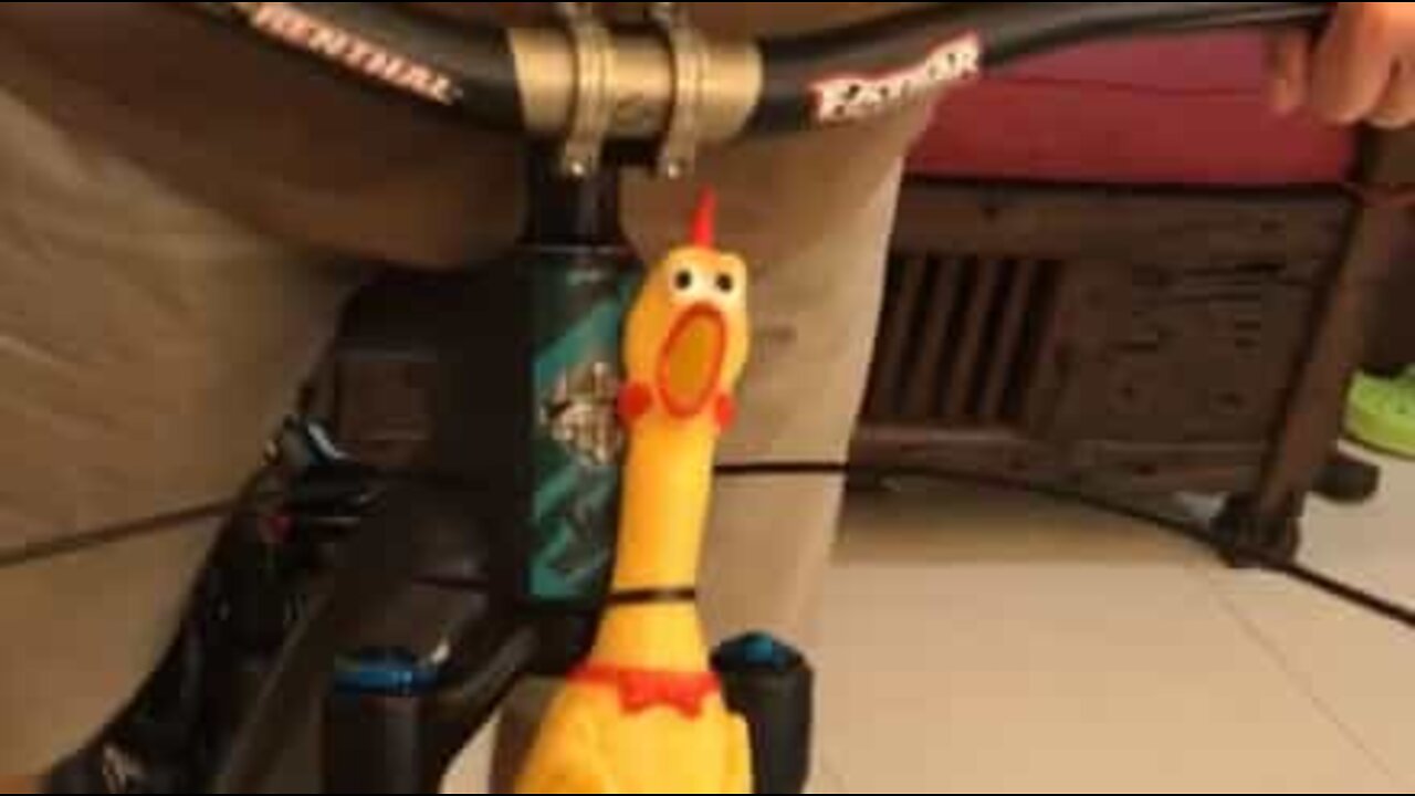 Será esta a buzina de bicicleta mais original?