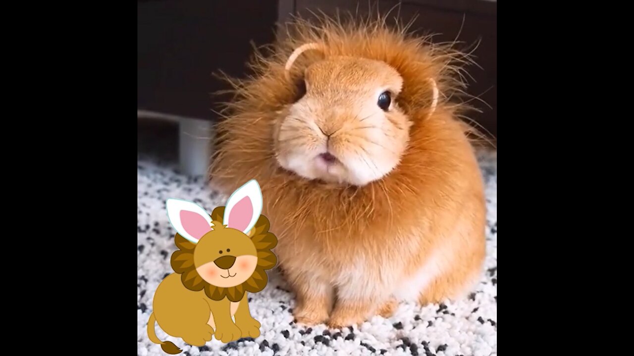 A rabbit thinks he's the Lion King and roars proudly
