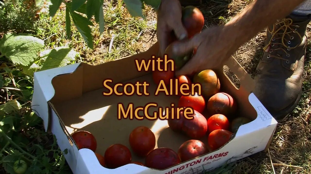 Off-Site Satellite Sustenance Garden