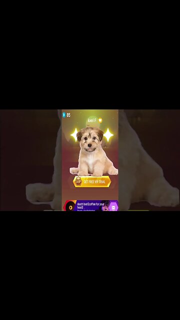 Dog sing waka waka part 2 #shorts #music #dog