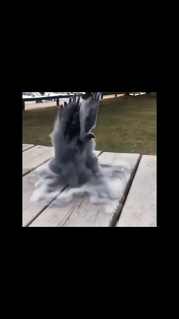 Where Can You Find One Of These! #dailyhackness #Shorts #ytshorts #challenges #doityourself #useful