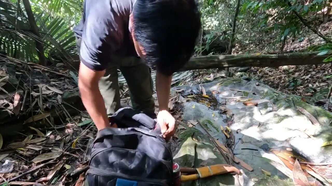 Build Shelters, Set Traps: Jungle Solo:3