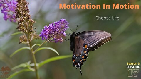 Motivation for LIFE - Motivational Video 2022 | Motivation In Motion