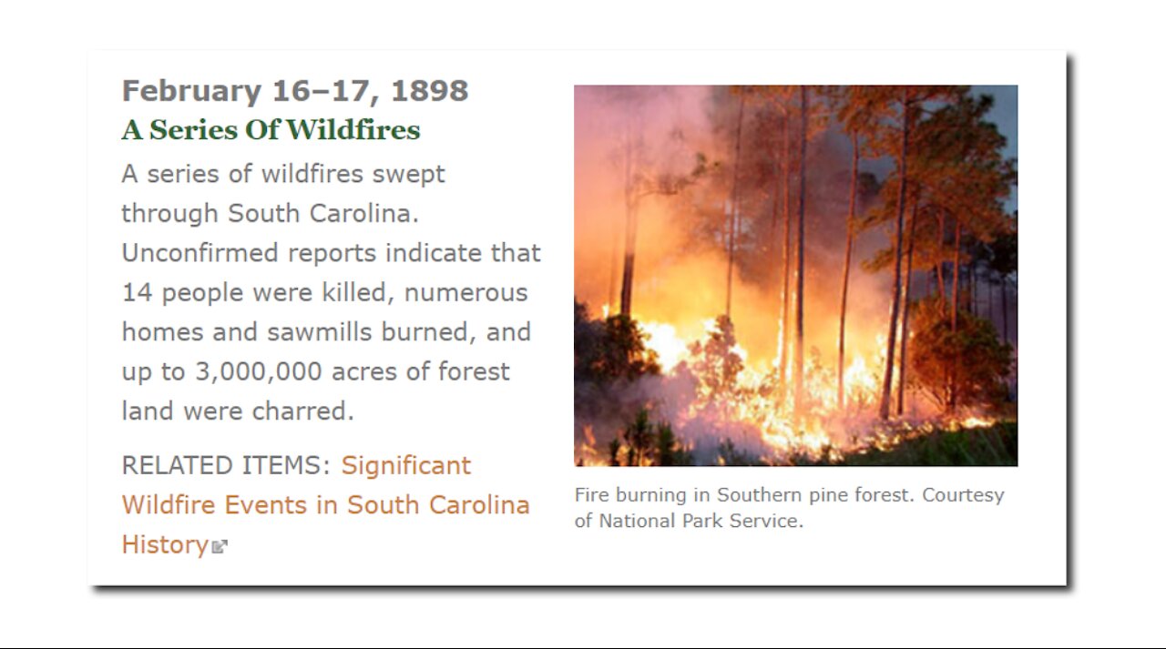 Joe Biden - Wildfire Expert