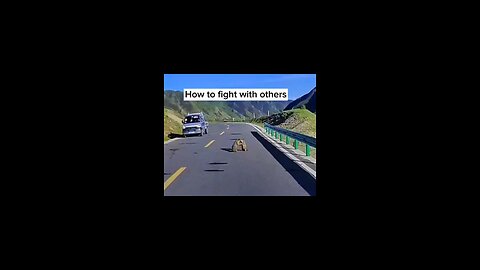 How to fight with others