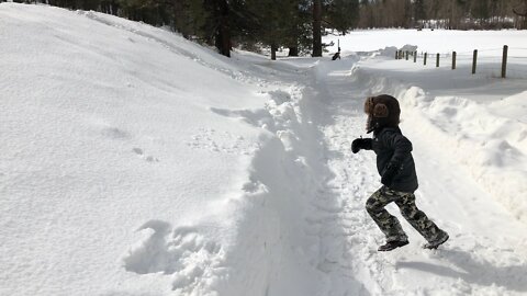 First time in real snow