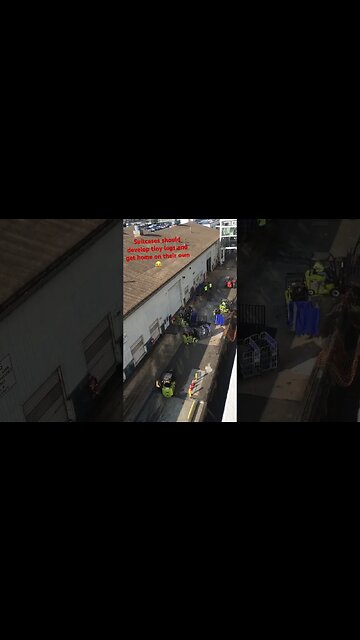 Watching suitcases off the ship it’s like synchronized dance routine #shorts #travel #viajes