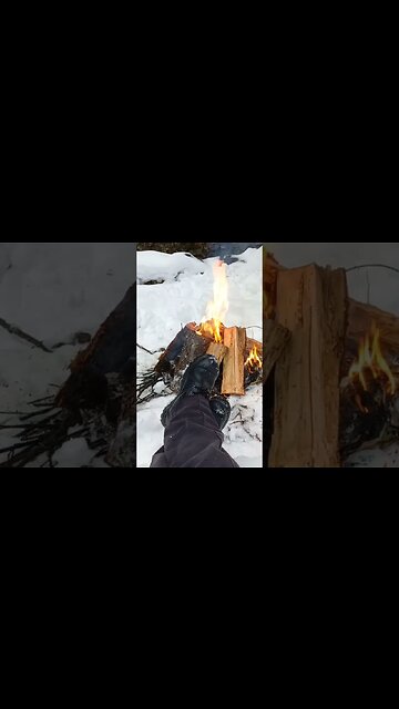 5 o'clock somewhere. #shorts