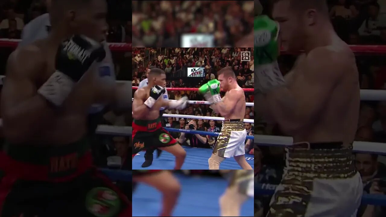 Canelo Alvarez El Mejor Esquivando Golpes