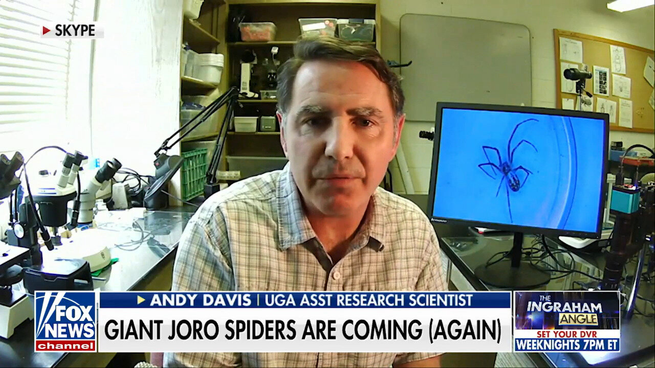 Andy Davis: These Spiders Won't Bother You If You Don't Bother Them