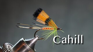 Cahill from Favorite Flies and Their Histories by Mary Orvis Marbury