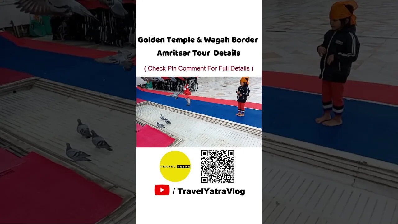 Golden Temple & Wagah Border Tour Details #shorts