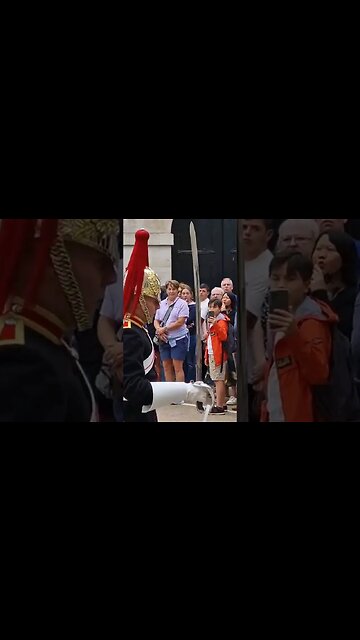 Kings guard screams make way at tourist #horseguardsparade