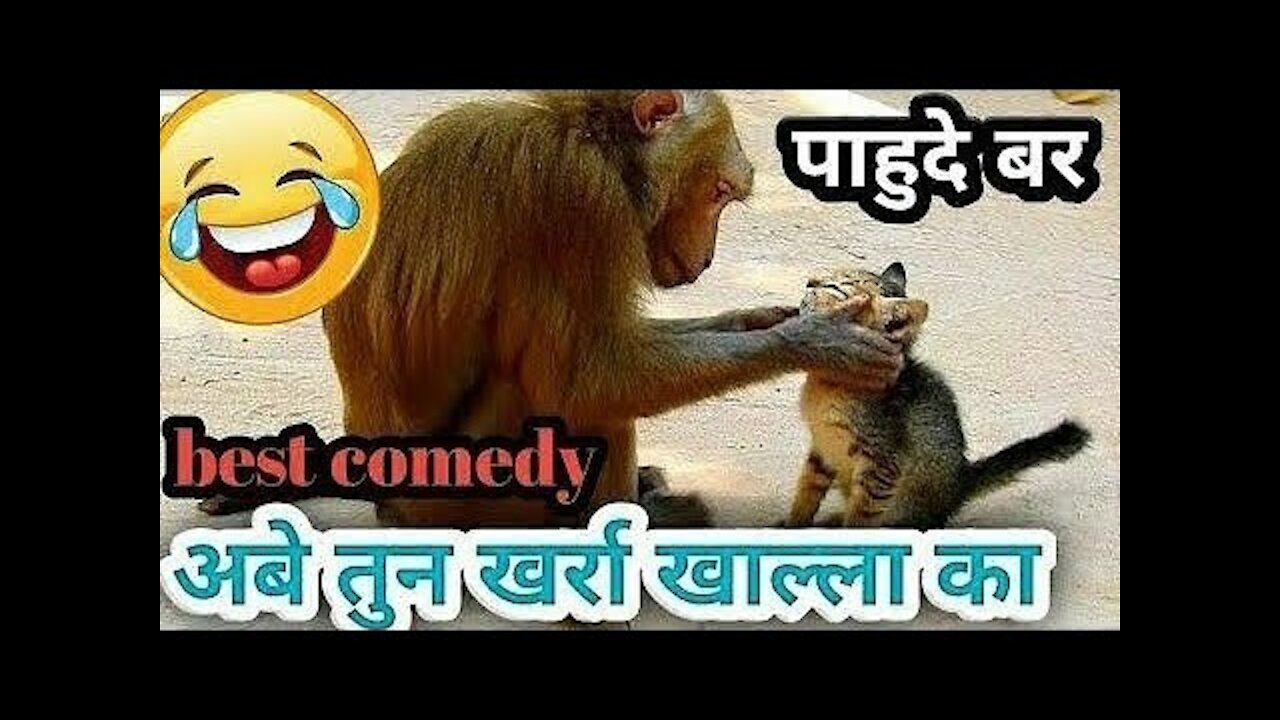 Lakshmi kant bhise😆😆 comedy video || # funny videos || comedy