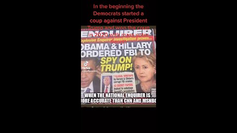 The Democrat coup