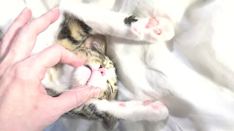 I Surrender