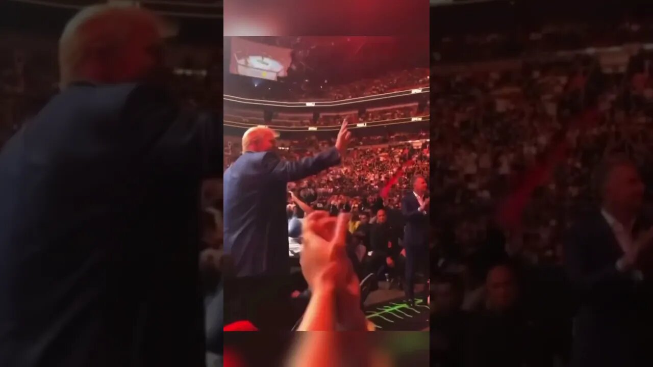 UFC crowd goes wild as Trump waves