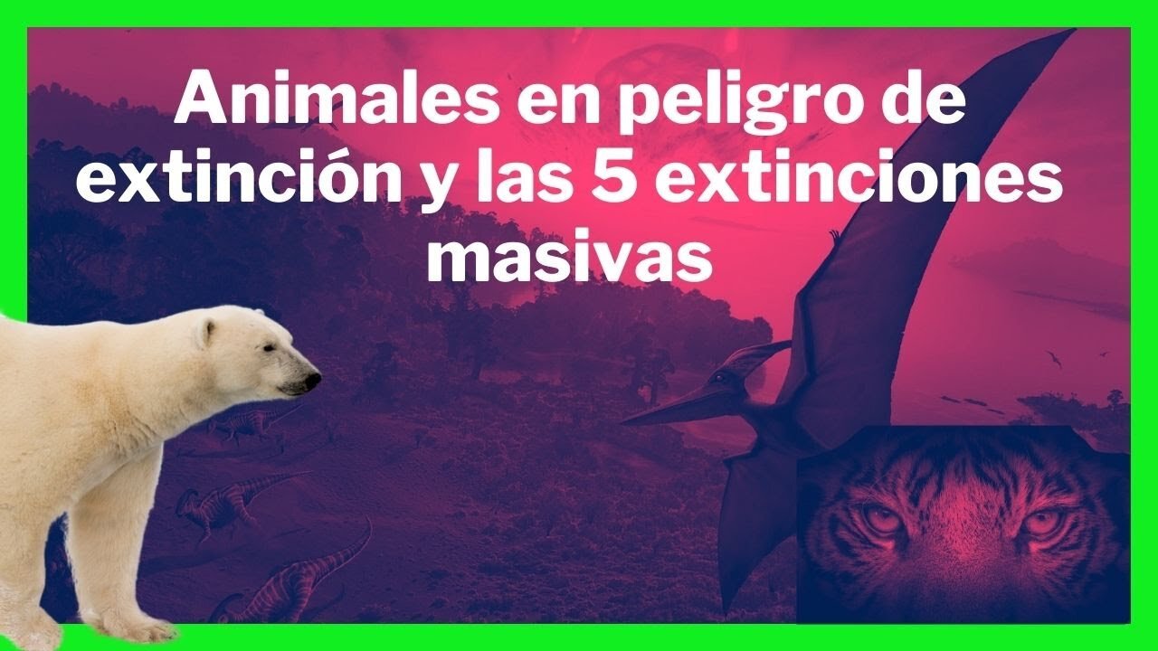 ⭕ANIMALS IN DANGER OF EXTINCTION AND THE 5 MASSIVE EXTINCTIONS⭕ 😿🐼