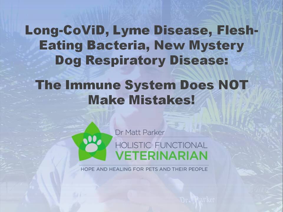 Long CoViD, Lyme Disease, Flesh-Eating Bacteria, Mystery Dog Respiratory Illness