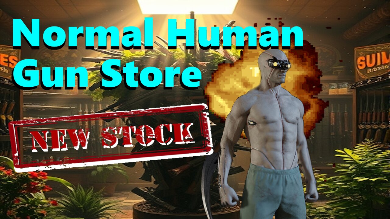 Normal Human Gun Store 2: NEW STOCK! | Pavlov VR