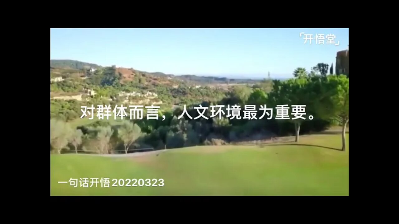 一句话开悟20220323