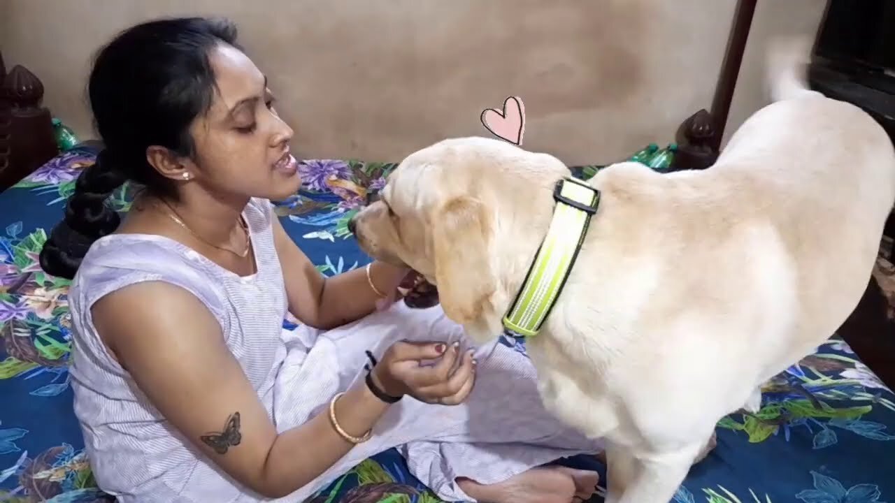 Mum is tired after long day. But Coco need his cuddles. Watch how gets his loving from Mum