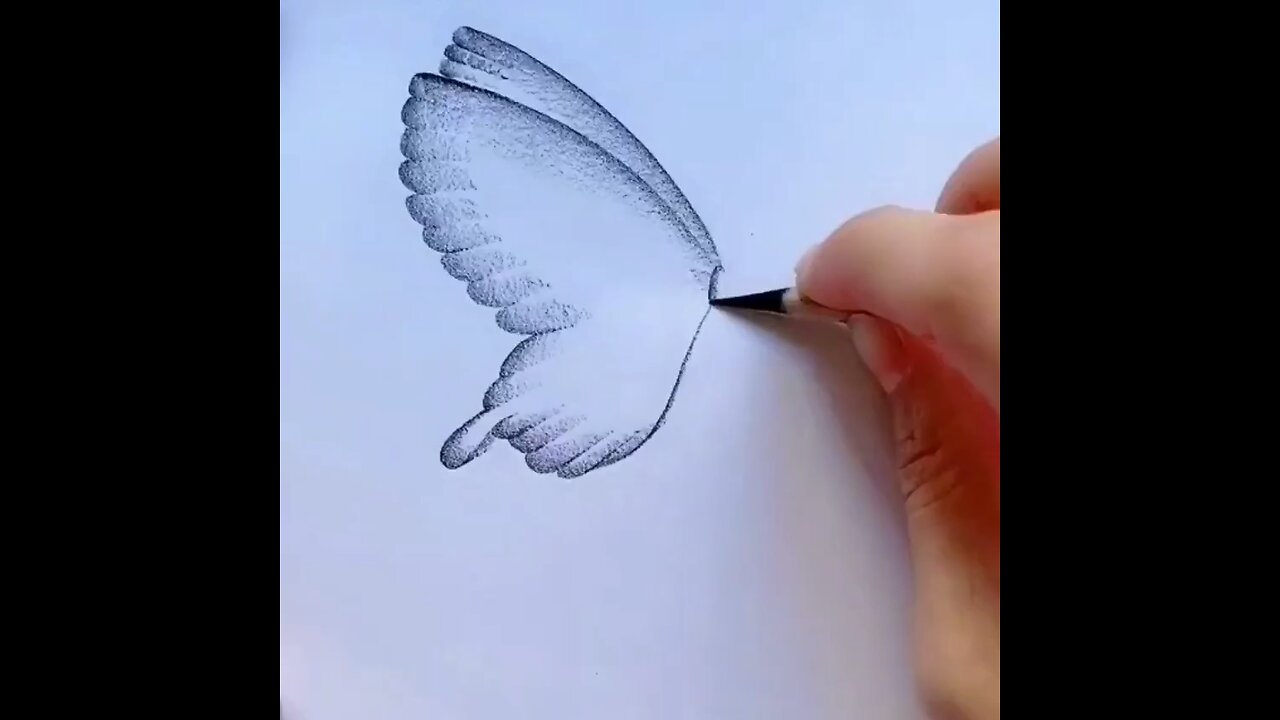 ✏️How to draw a butterfly