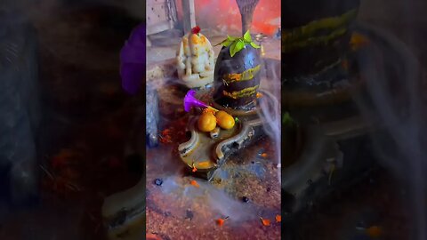 #bholenath #god#shiv #iskcon #ram #viral #trending #siyaram #bhajan #shiv_darshan55 #kedarnath #asmr